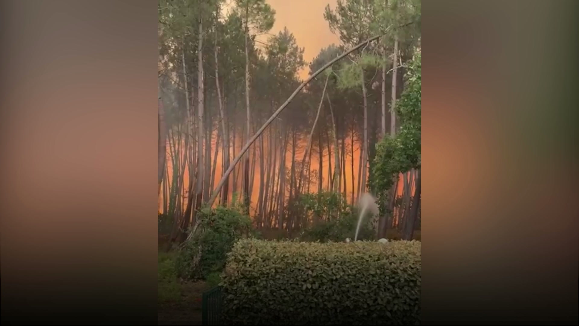 Gironde : les flammes progressent et atteignent des habitations à Lège-Cap-Ferret
