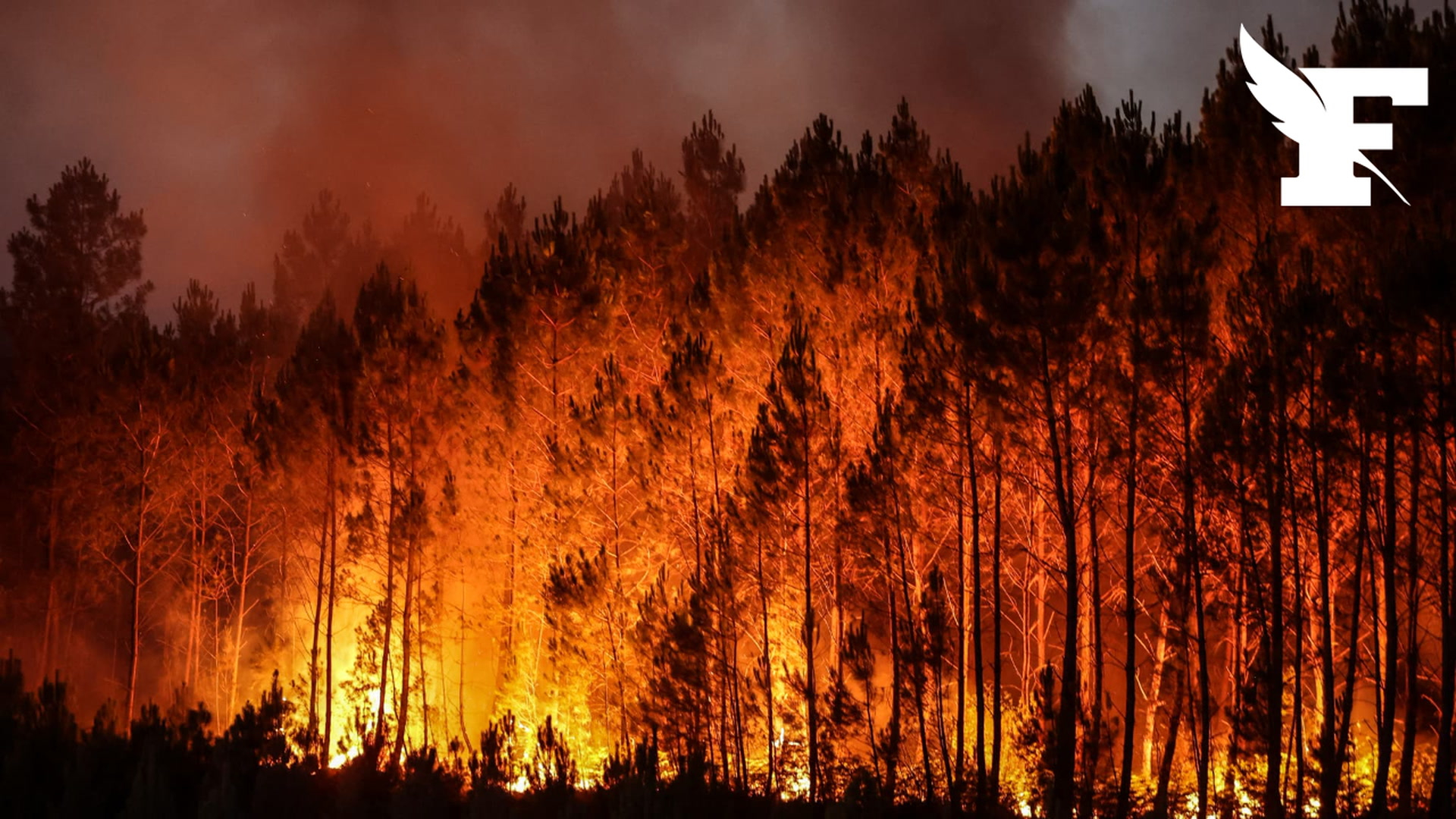 Incendies : Le mégafeu en Gironde reste stabilisé ce jeudi 30 juillet