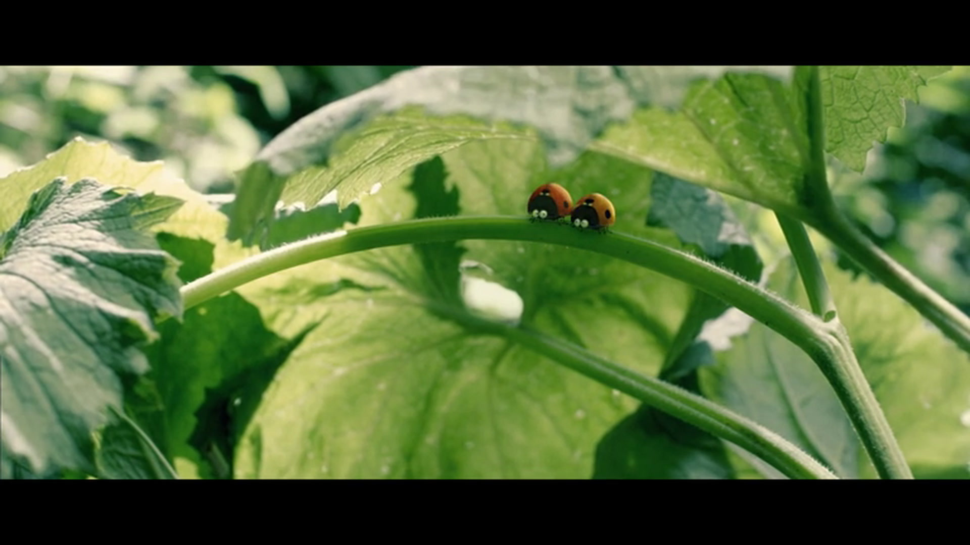 minuscule-la-vall-e-des-fourmis-perdues-vf