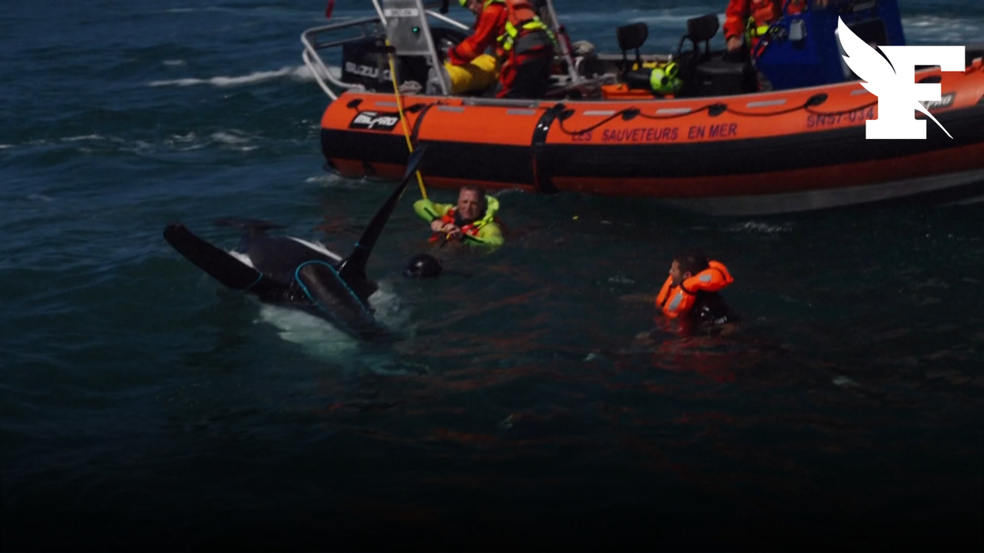 Franky Zapata tombe à l’eau avec son «Air Scooter» lors de sa tentative de traversée de la Manche