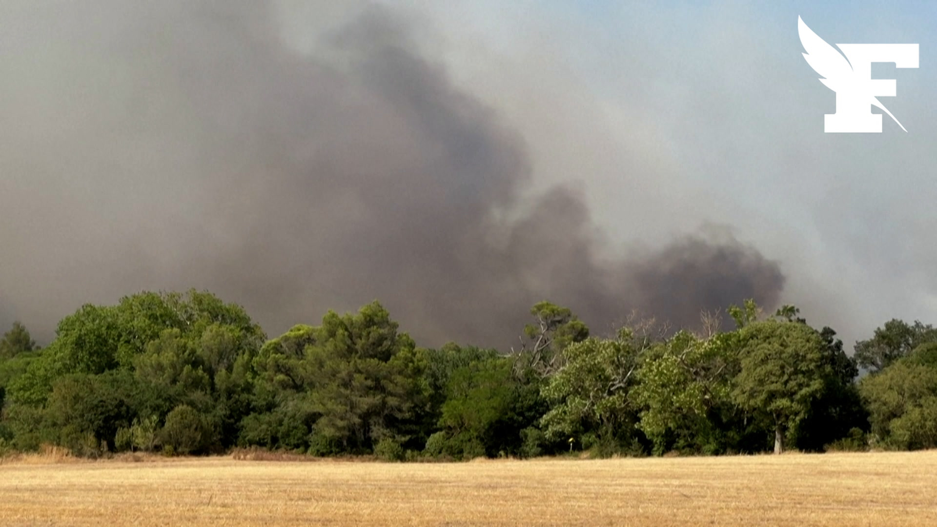 Les images de l'incendie qui a déjà ravagé une centaine d'hectares près de Carcassonne