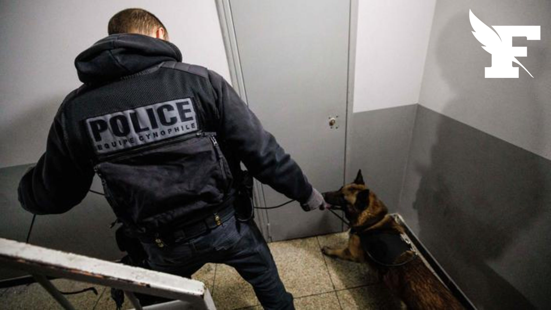 Drogue: un adolescent de 16 ans arrêté après avoir fouillé un policier de la BAC à l’entrée de son quartier à Marseille