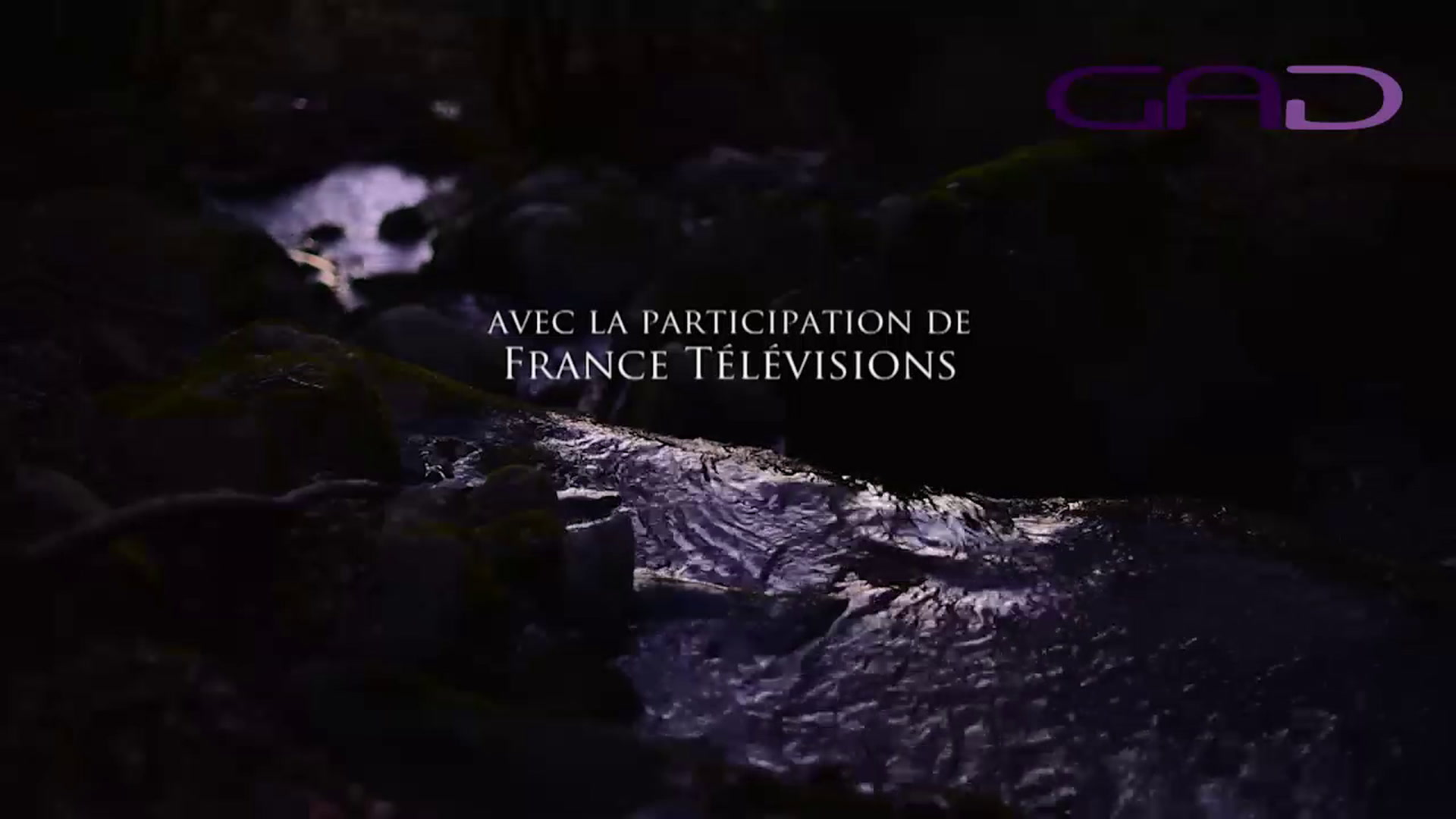 Naïs au pays des loups