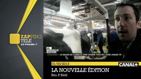 La vache «Neige» devient l'égérie du prochain Salon de l'agriculture - Le  Parisien