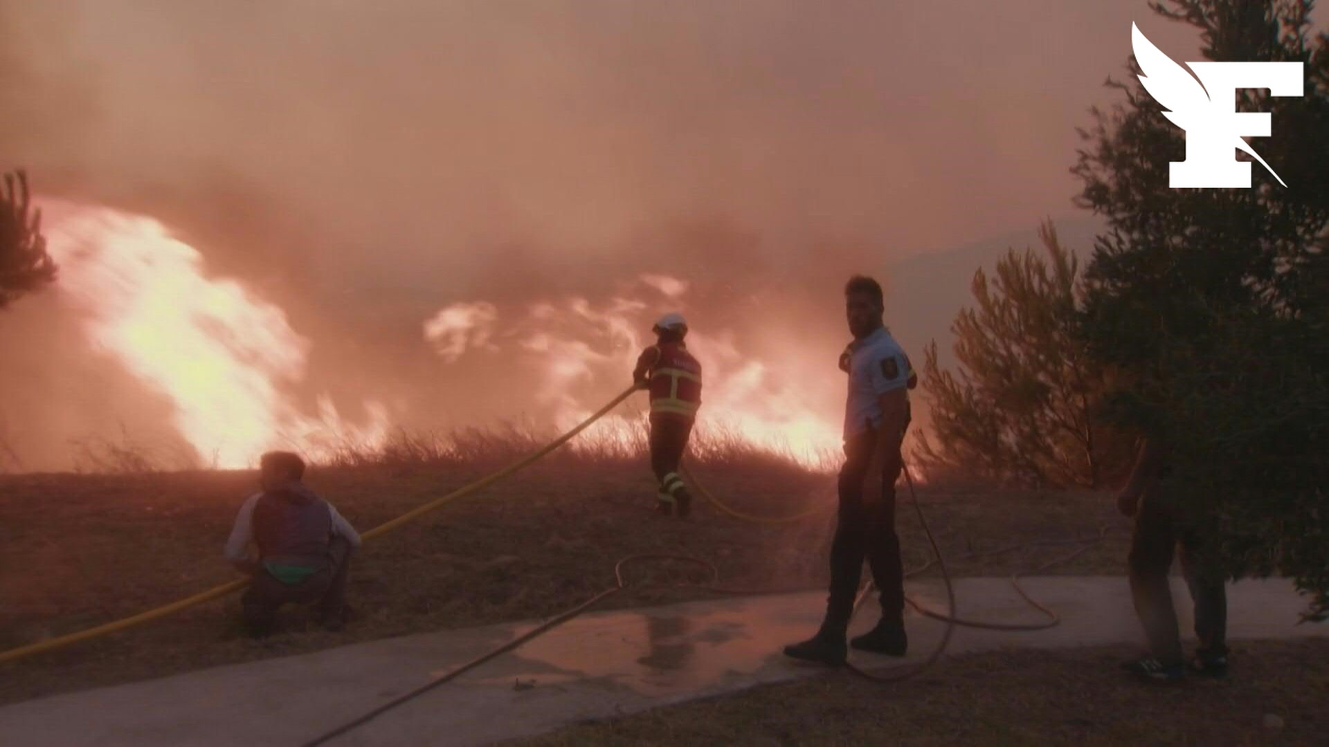 Incendies: pompiers et habitants luttent contre les feux de forêt à Cascais,  au Portugal