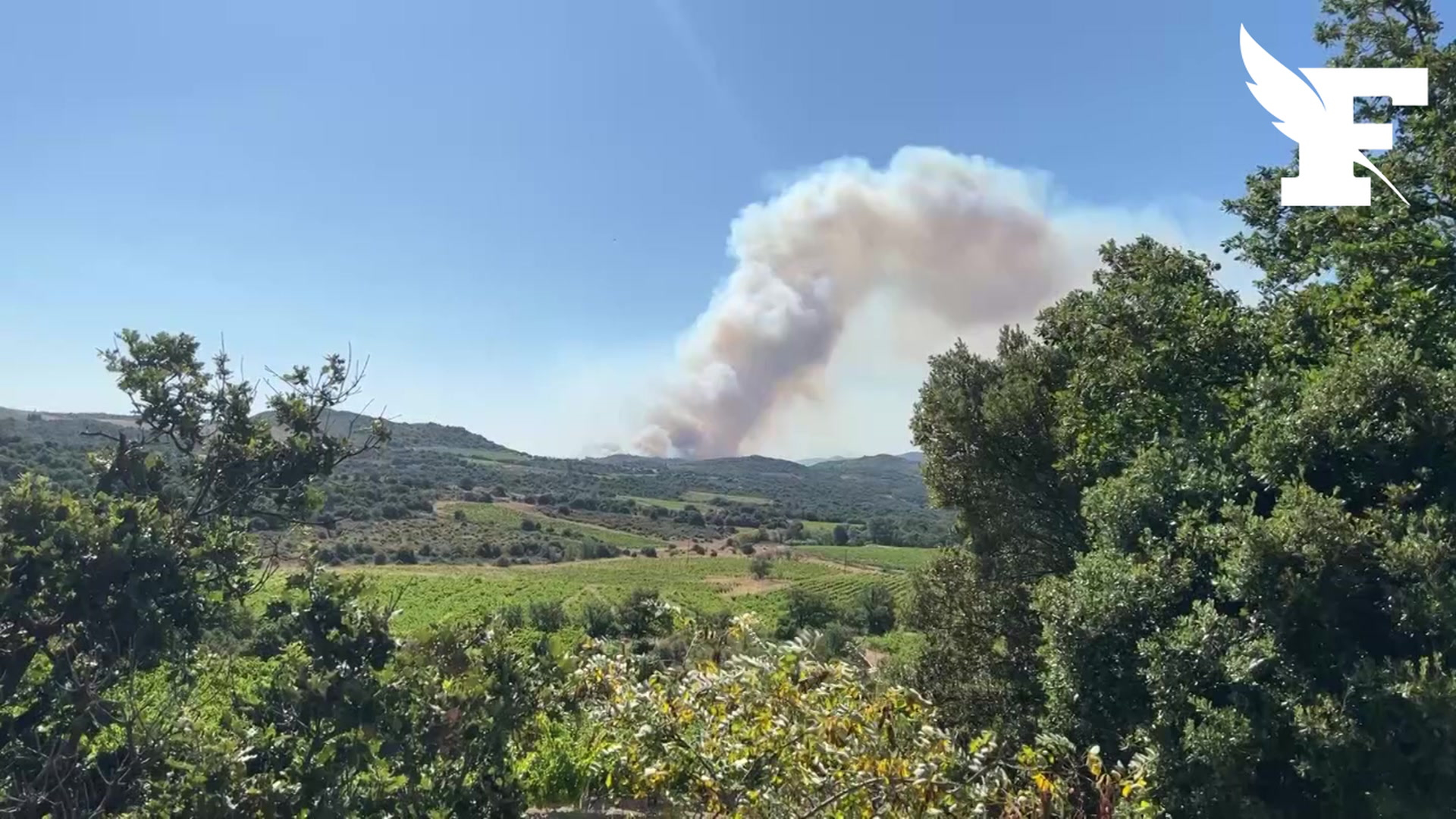 Les images du nouvel incendie dans les Pyrénées-Orientales, qui a déjà parcouru près de 1.000 hectares