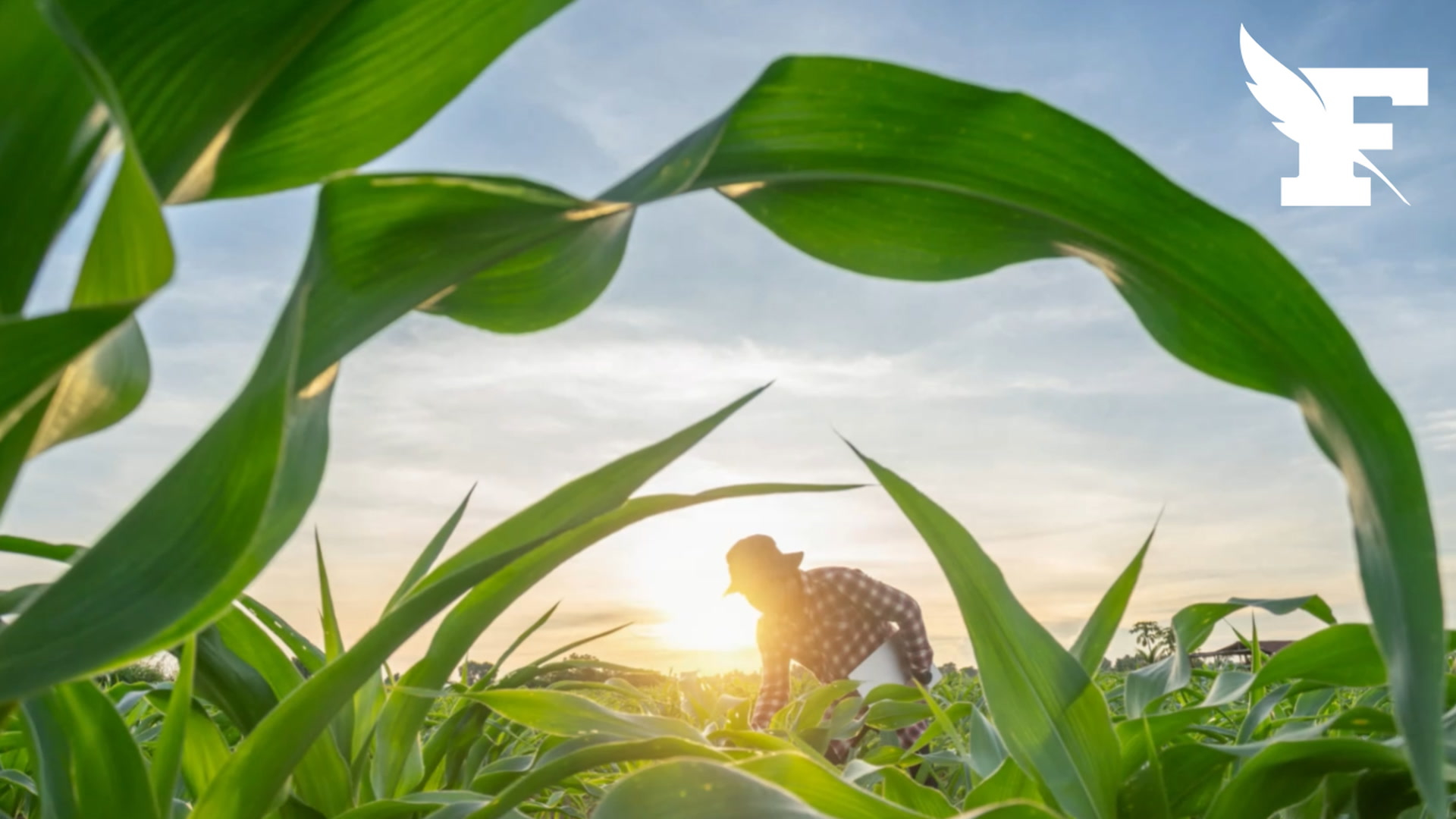 L’Humanité a consommé l’intégralité des ressources de la Terre pour l’année 2026