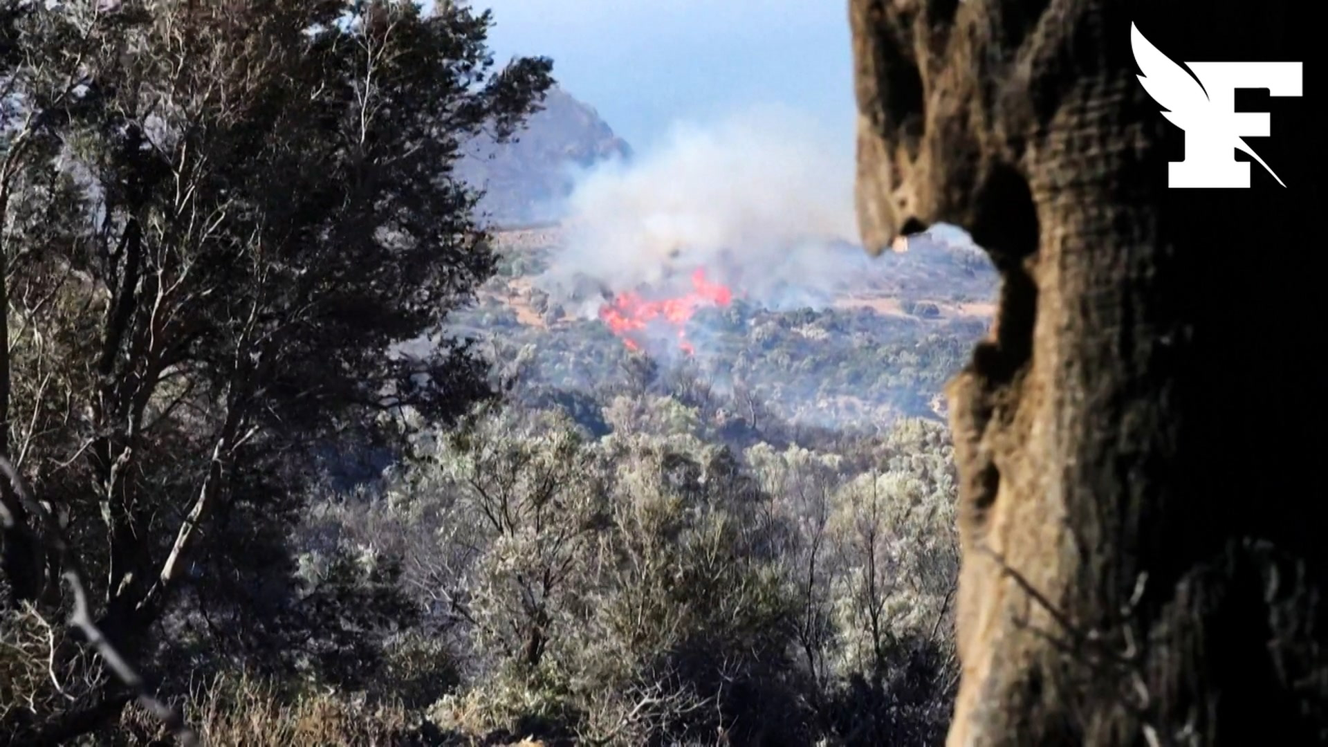 Grèce: trois pompiers tués, des milliers d’hectares brûlés, la Crète frappée par les incendies