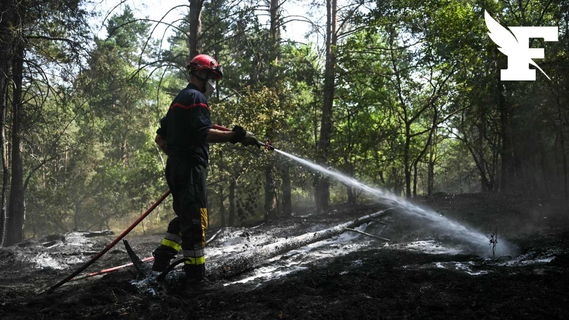 Incendies de la forêt de Fontainebleau : les deux ouvriers de l'A6 vont être présentés à un juge