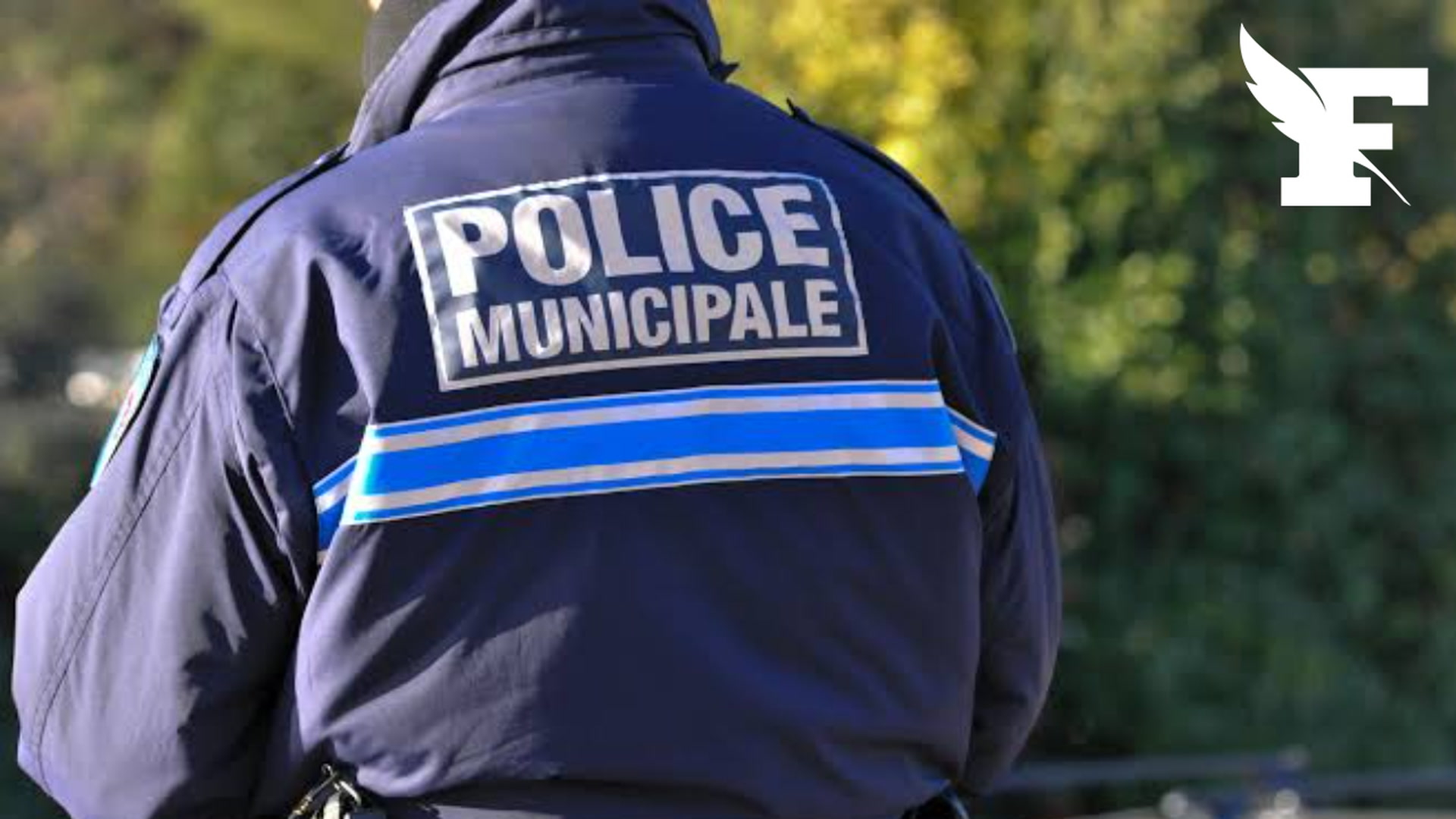 Vosges : un policier suspendu pour avoir montré des photos de cadavres à des stagiaires