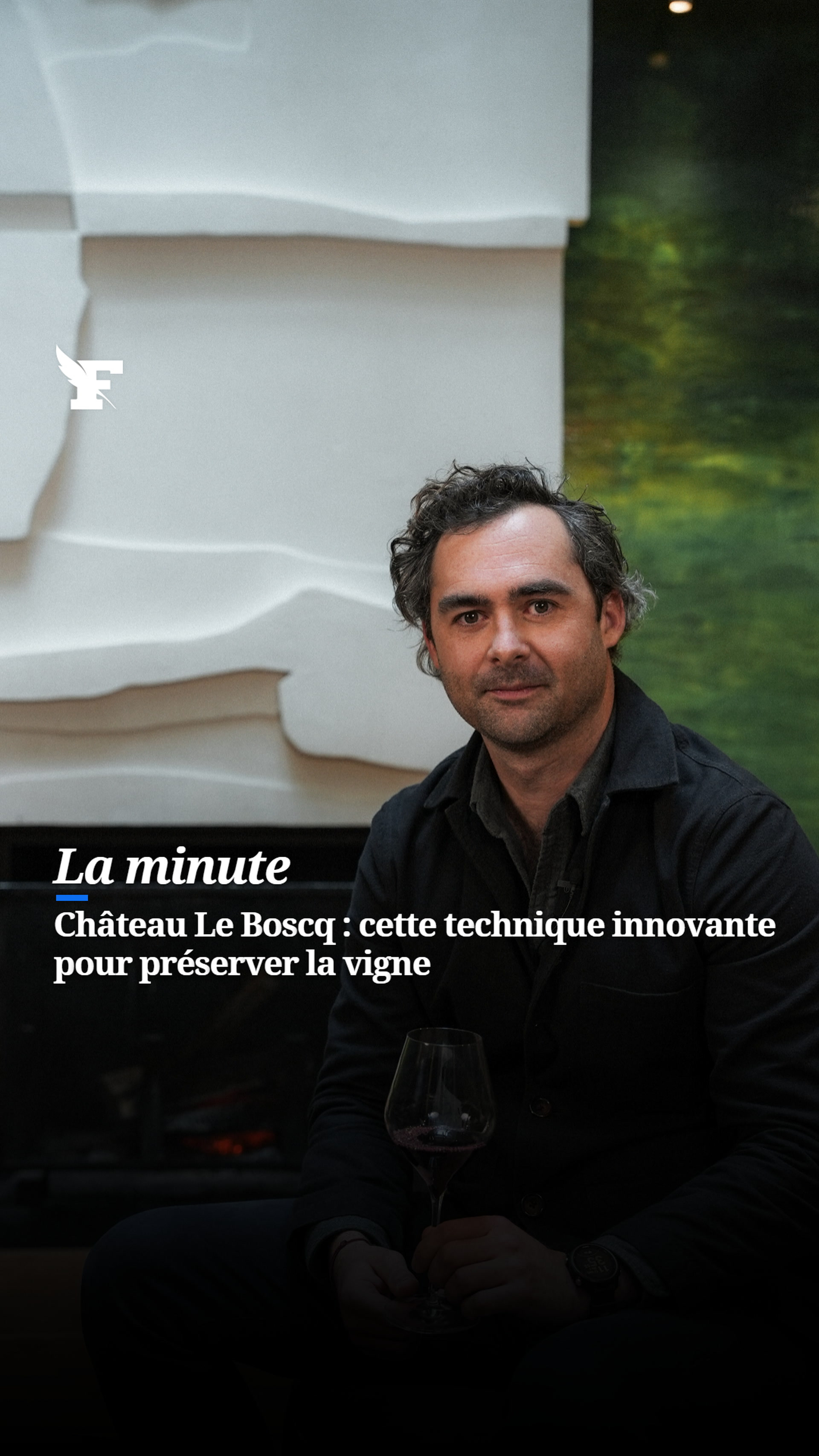 Cette technique révolutionnaire qui protège la vigne