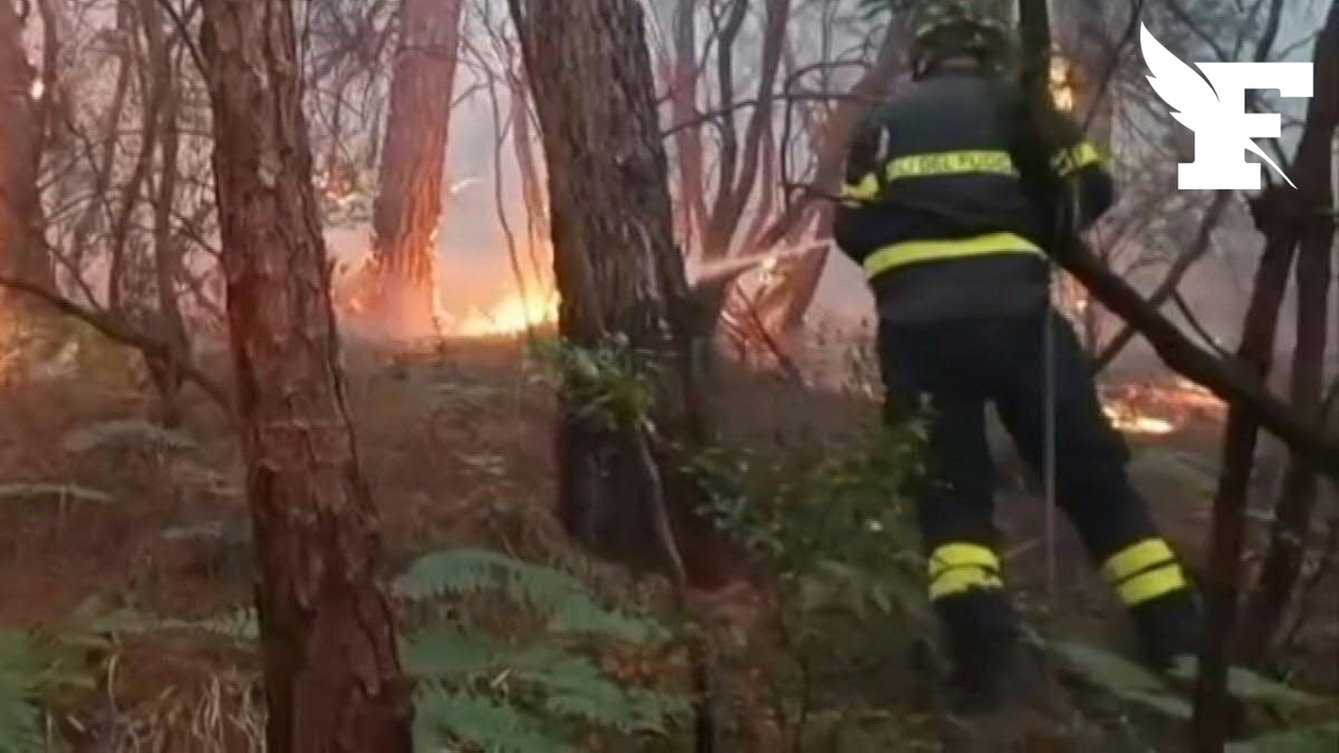 Italie : plus de 800 hectares de forêt ravagés par les flammes en Toscane