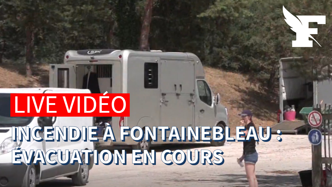Forêt de Fontainebleau: le préfet de Seine-et-Marne tient un point presse sur les incendies