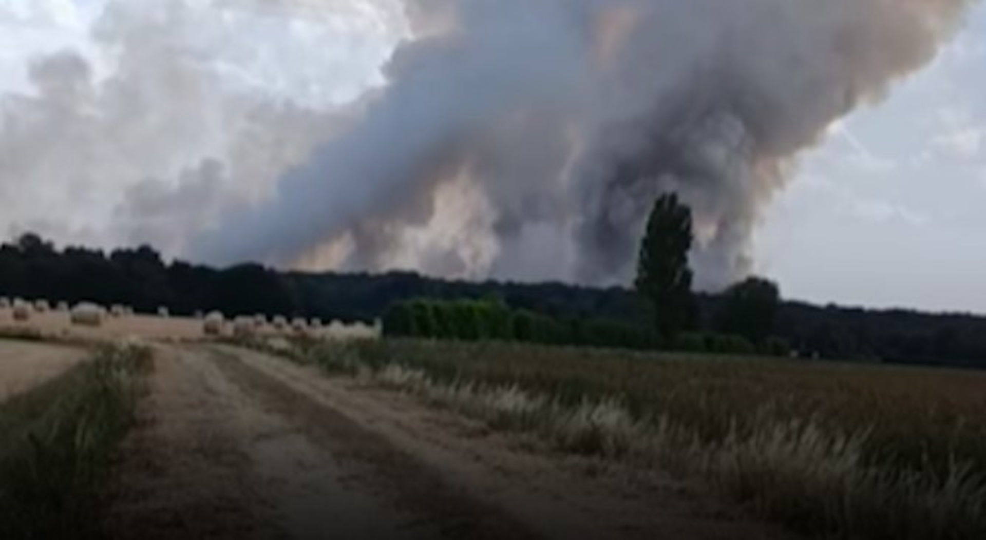 Maine-et-Loire: les premières images des incendies en forêt où près de 100 hectares brûlent