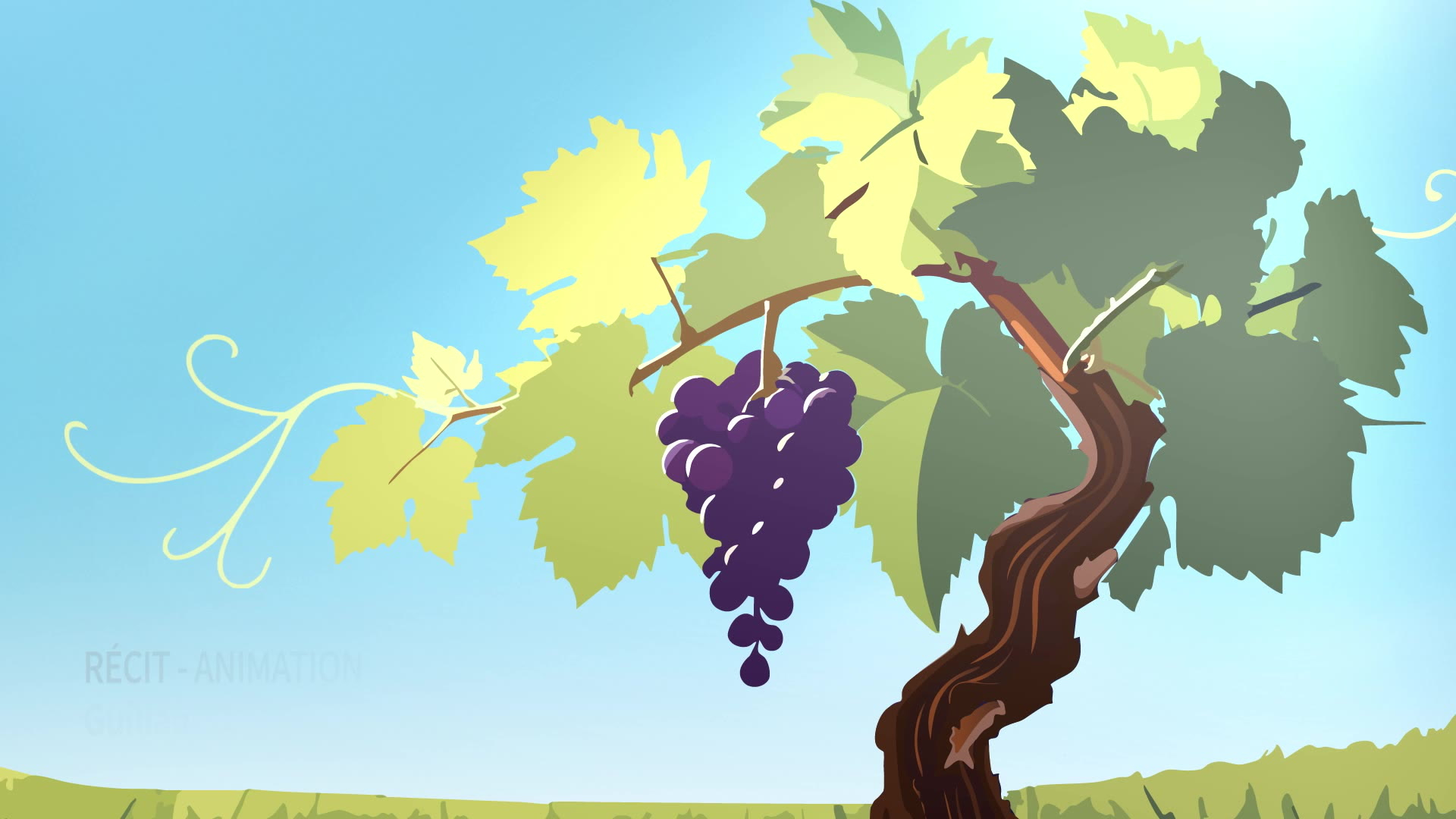 Production, exportation, consommation : où va le marché du vin ?