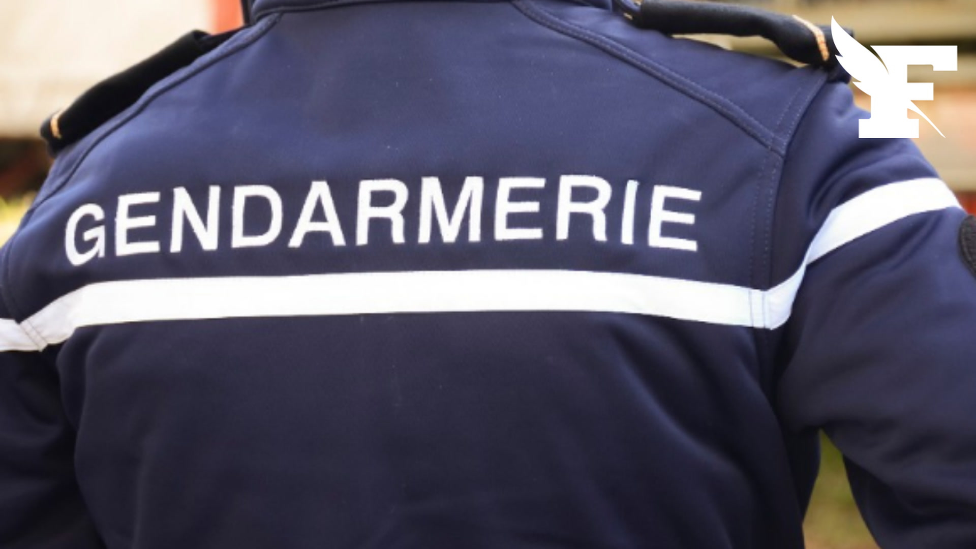 Un cadavre retrouvé partiellement immergé dans le Rhône près de Lyon