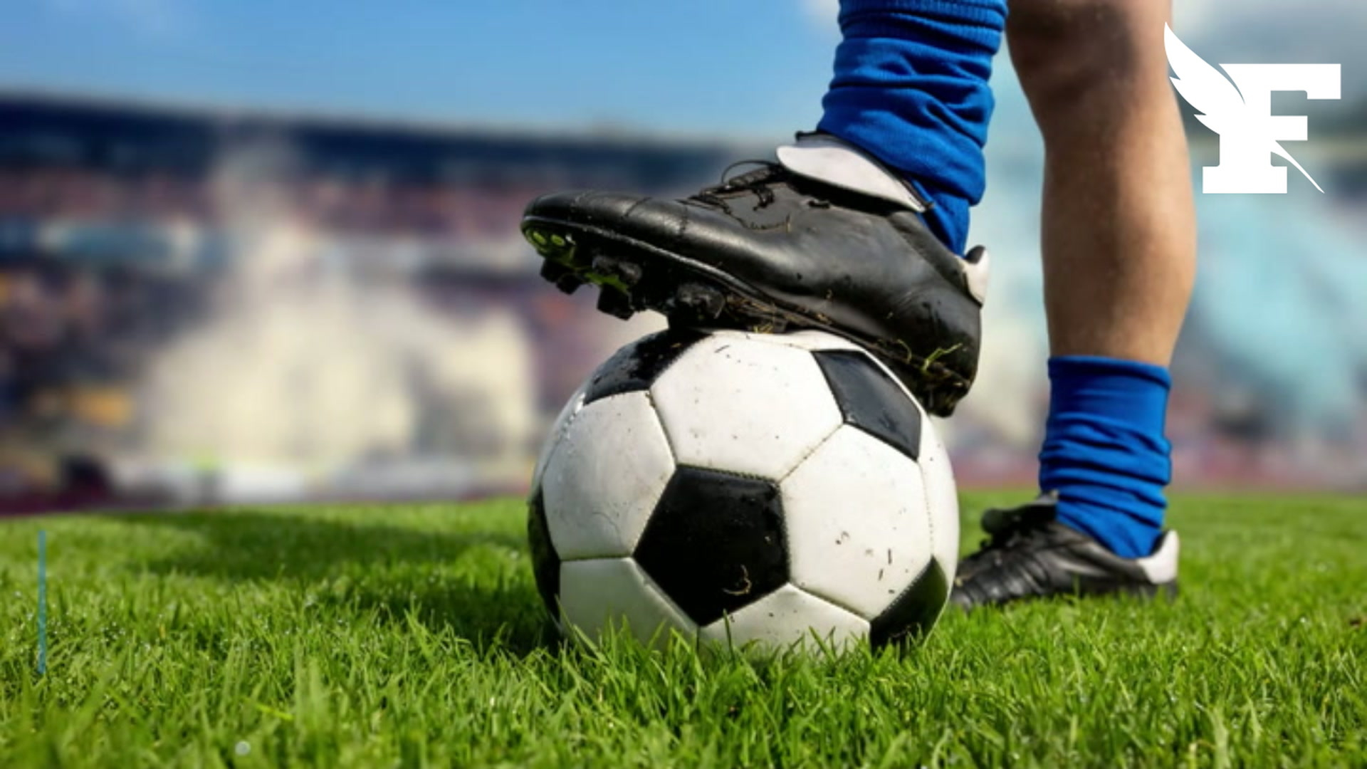 Voici pourquoi les flocages des maillots sur les pelouses de Ligue 1 et Ligue 2 seront floutés ce week-end