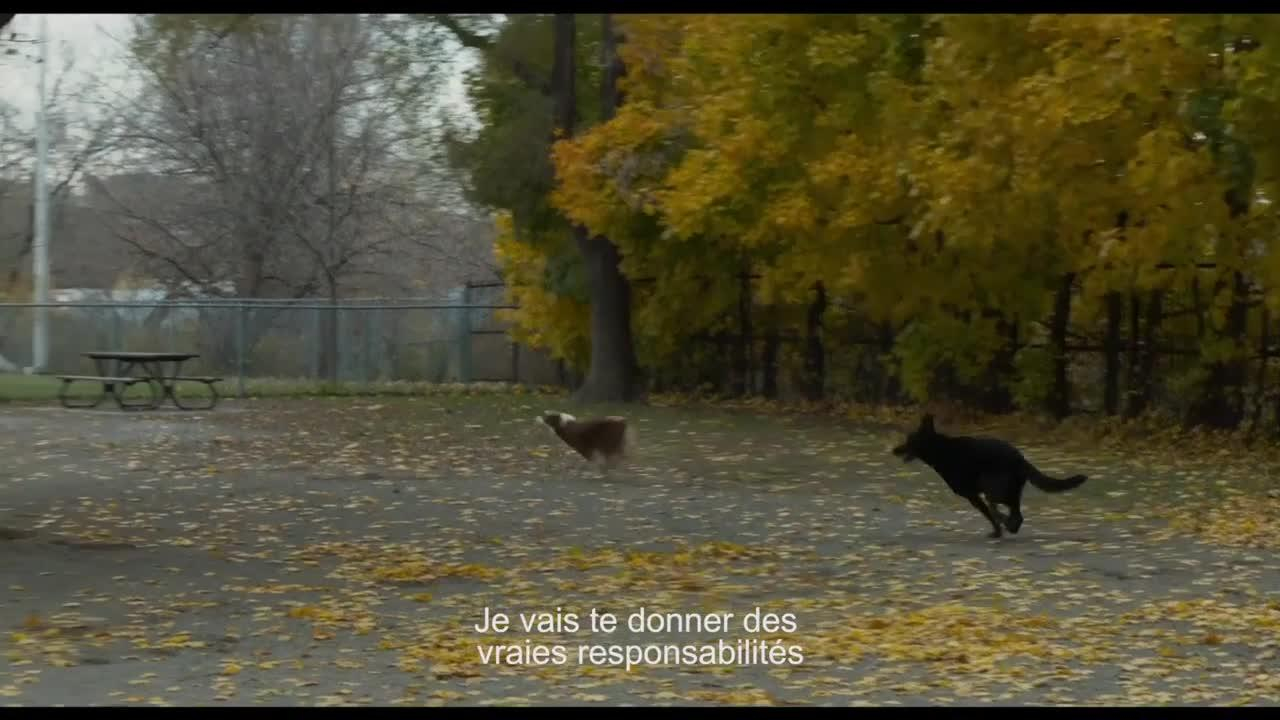 Chien de garde [VF] [Bande annonce]