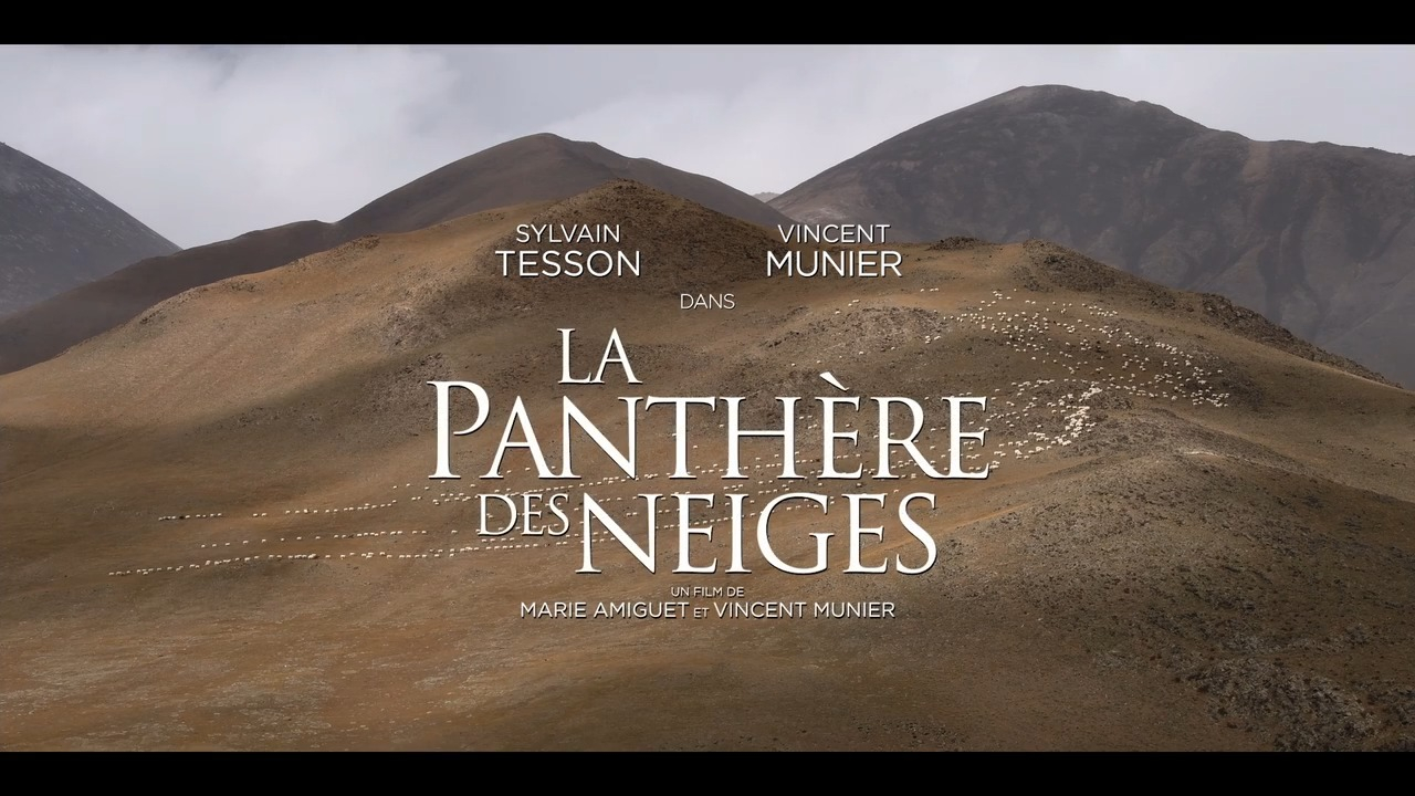 Découvrez la bandeannonce de La Panthère des neiges, avec Sylvain Tesson et Vincent Munier Découvrez la bandeannonce de La Panthère des neiges, avec Sylvain Tesson et Vincent Munier
