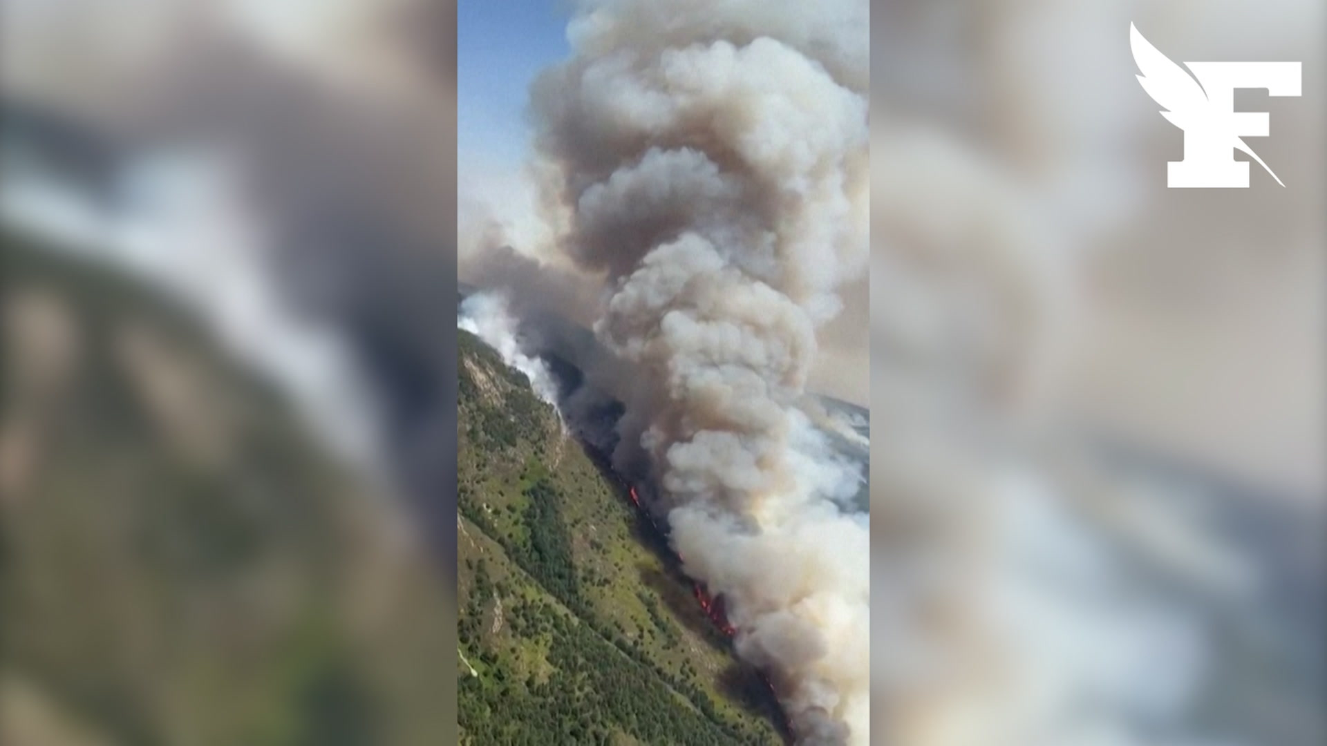 Incendie en Espagne : 32.000 hectares brûlés au nord de Madrid, espoir de circonscrire l'incendie d'ici jeudi