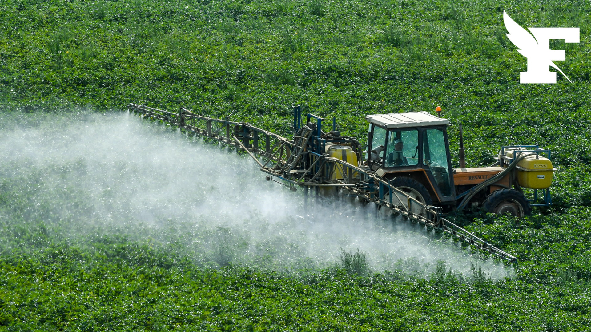 Pesticides: alerte sanitaire autour de la santé des enfants
