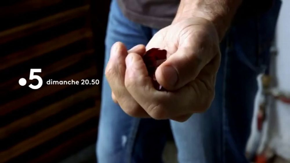 Le Piment Ne Manque Pas De Piquant