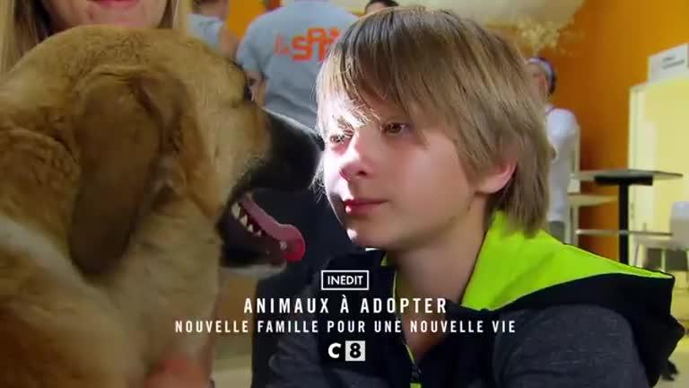 Animaux à Adopter Nouvelle Famille Pour Une Nouvelle Vie 2021 Animaux à adopter : nouvelle famille pour une nouvelle vie - VF
