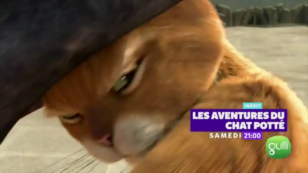 Les Aventures Du Chat Potte Vf Diffuse Le 21 03 A 23h45 Sur Gulli