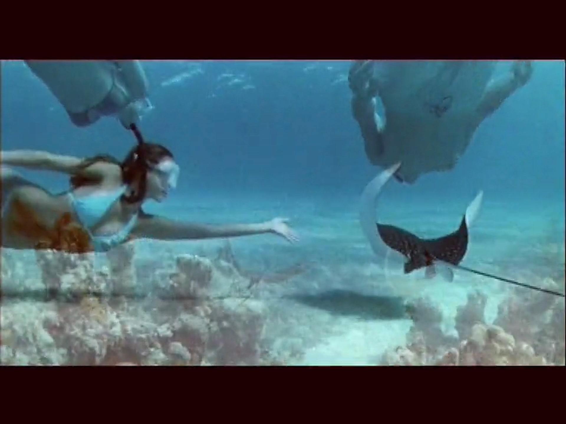 Bleu d'enfer - VF | Flipboard