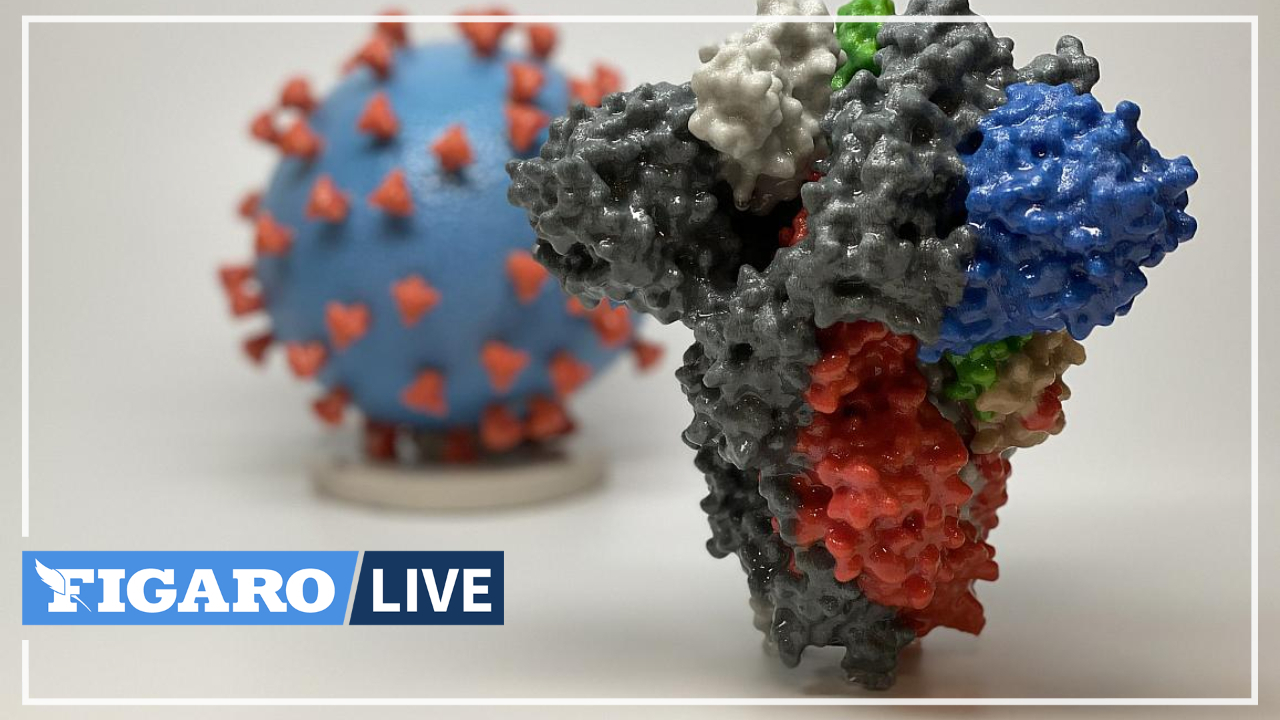 Variante du Covid-19: «Il n'y a pas de preuve tangible que ce virus soit plus contagieux», selon un expert américain