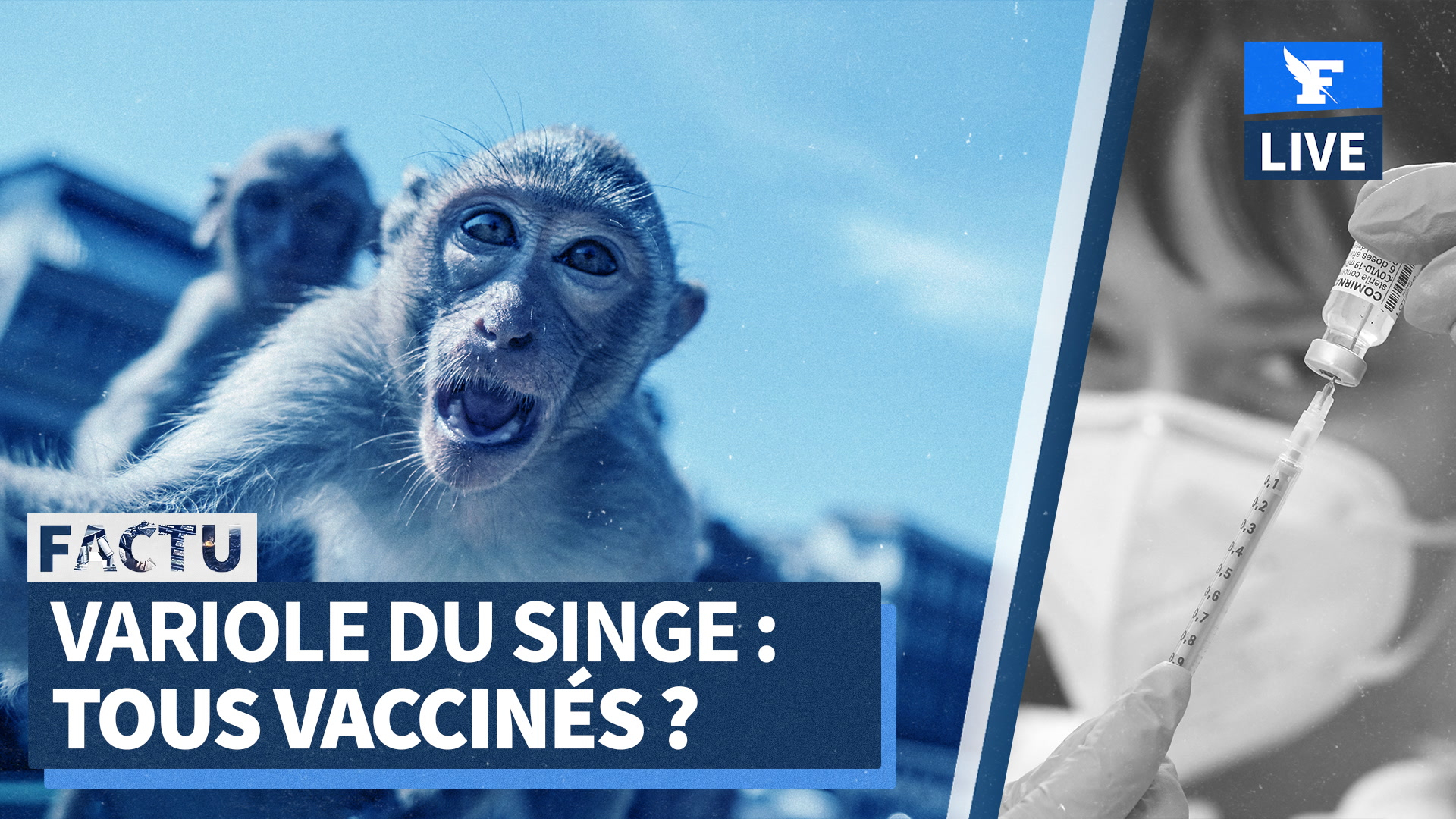 Variole du singe: va-t-on tous devoir se faire vacciner ?