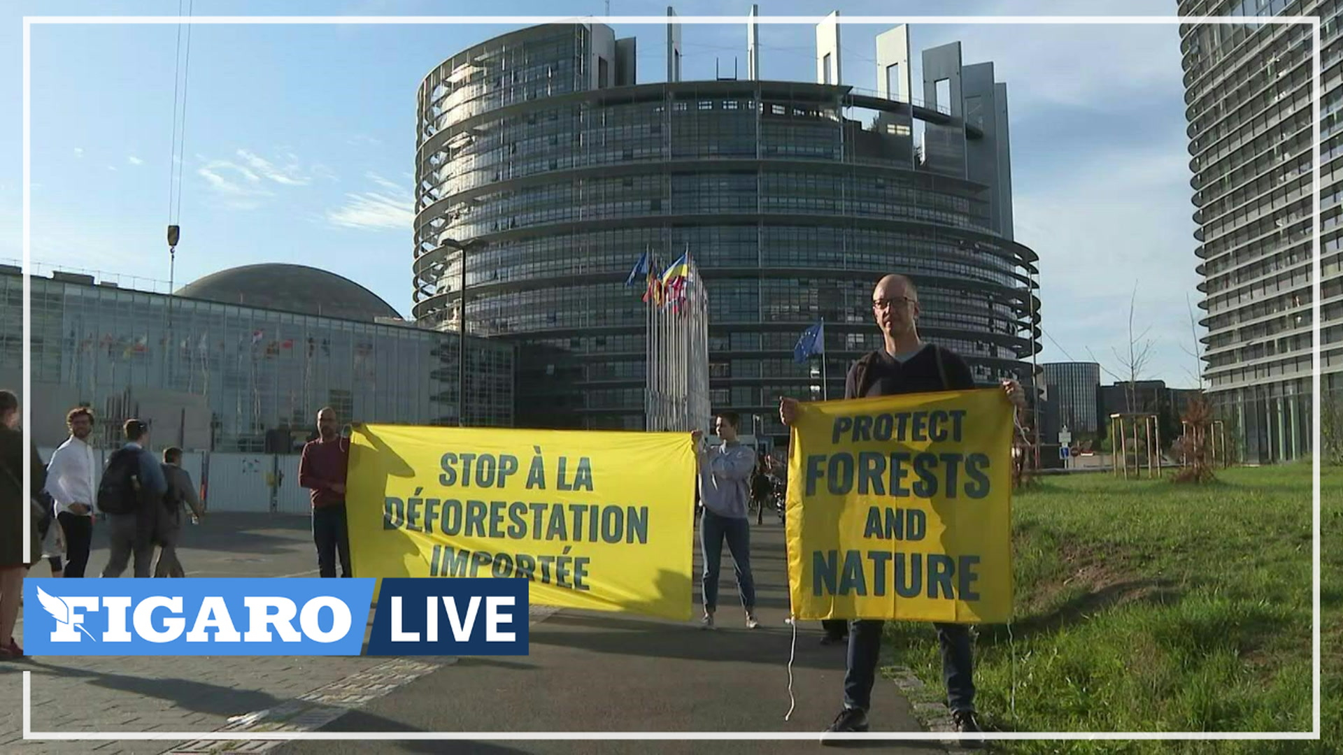 Devant Le Parlement Européen, Greenpeace Milite Pour Une Loi Sur La ...