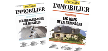 newsletter Le Particulier Immobilier