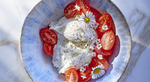 newsletter Recette du jour