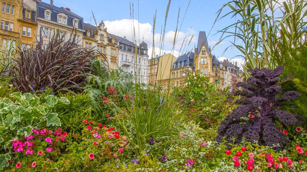 Découvrez le palmarès 2017 des villes et villages fleuris