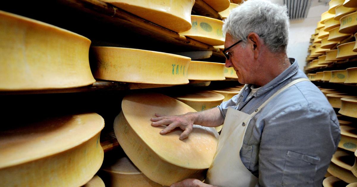 Le mystère des trous dans le fromage percé après un siècle de recherches