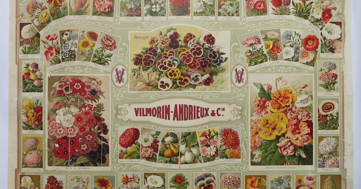 Jardinerie Vilmorin Paris - Production de semences (adresse)