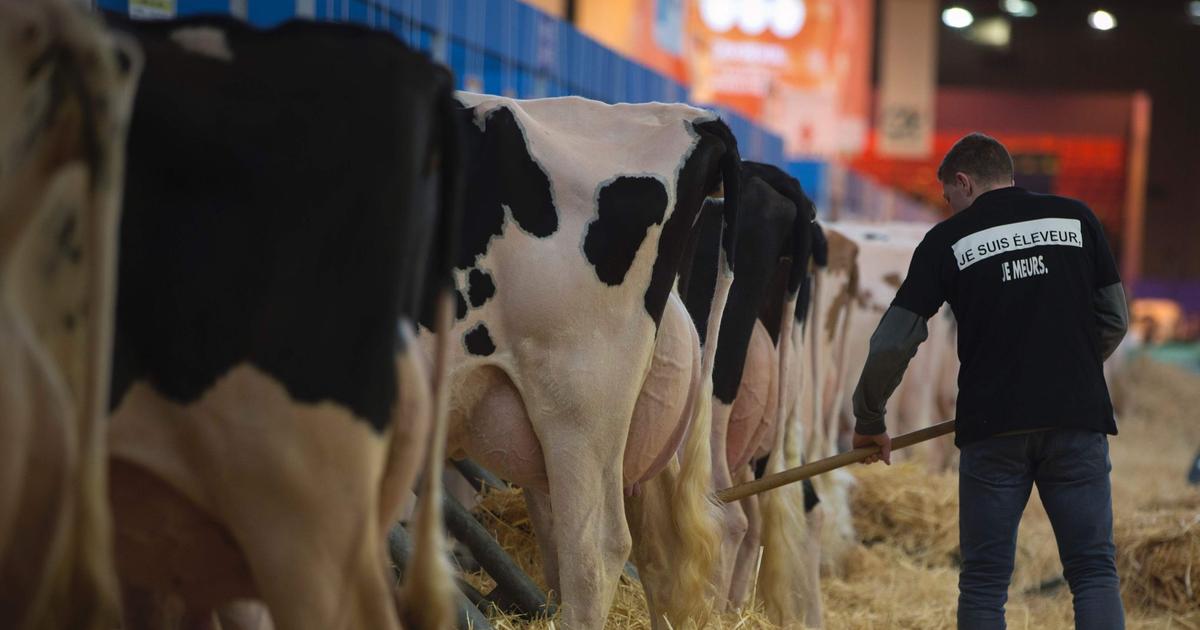 Crise agricole bras de fer européen sur des aides d'urgence