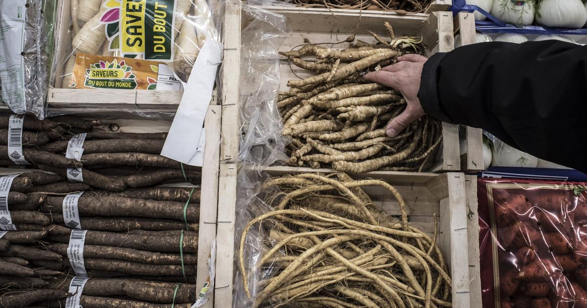 Les associations de dons alimentaires vont recevoir 800. 000 euros de l'ademe