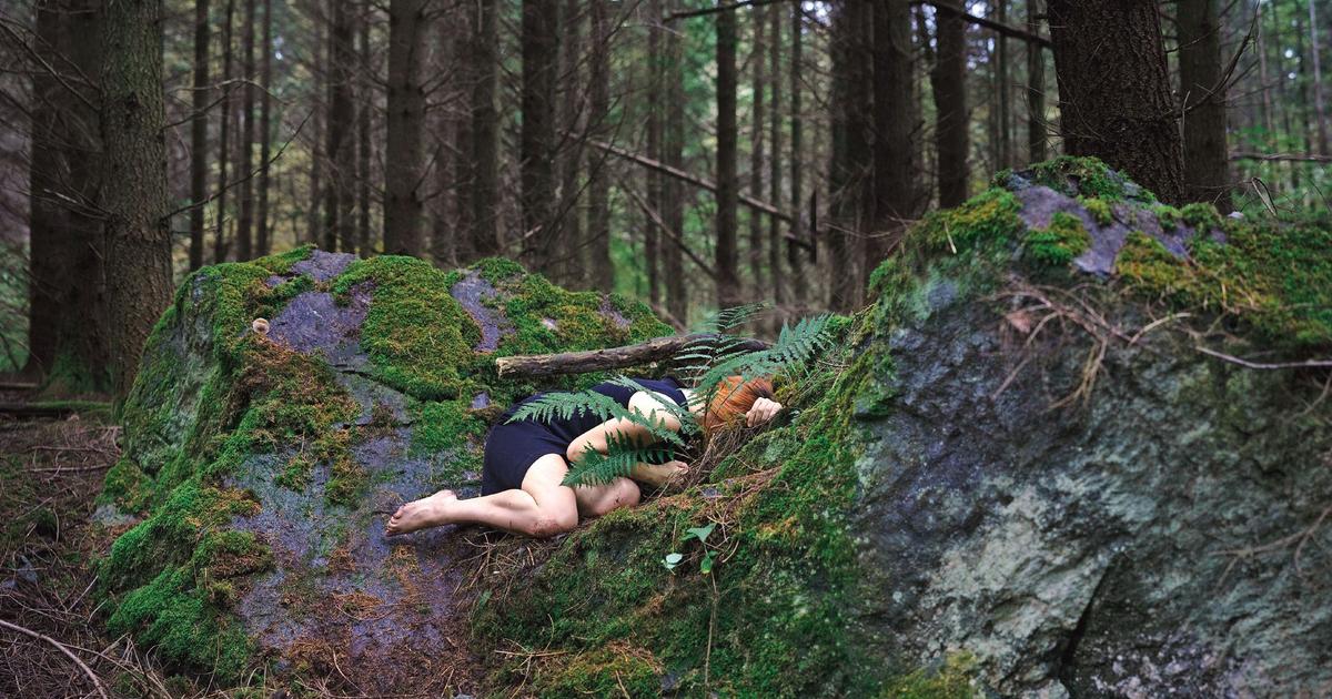Dans la forêt, de Jean Hegland : éloge de la femme sauvage