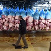 Scandale de la viande de cheval : un grossiste néerlandais condamné