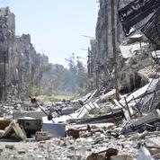 Syrie : «À Yarmouk, les réfugiés palestiniens ont dû se nourrir de feuilles»