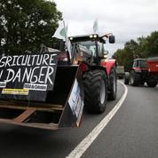 Éleveurs : la grande détresse des paysans français