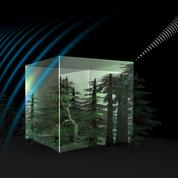 Un radar européen dans l'espace pour évaluer la biomasse