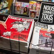 Affaire Chaunu : Le dessin de presse après Charlie