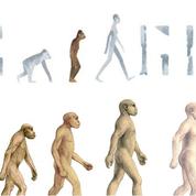 Lucy l'australopithèque: Google fête les 41 ans de sa découverte