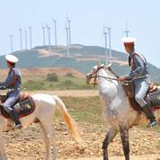 Hôte de la COP22, le Maroc héberge la plus grande centrale éolienne d'Afrique