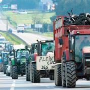 Les agriculteurs mobilisés malgré la baisse de leurs charges