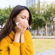 Le mûrier-platane provoque-t-il de l'asthme ?