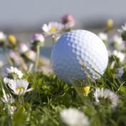 Golf: comment créer une prairie fleurie sur un green ?